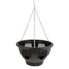 Green Jem 12-Inch Plastic Hanging Basket - Black