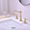 TRUSTMI 2 Handle 8-Inch Widespread Bathroom Faucet with Pop-up Drain