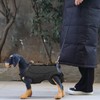 Dog Carrying Harness - Senior Dog Harness | Reflective Multifunctional