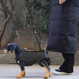 Dog Carrying Harness - Senior Dog Harness | Reflective Multifunctional Mobility Belt For Senior Weak Rear Legs Injured Disabled