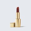ESTEE LAUDER Pure Color MATTE Lipstick 806 NO CONCESSIONS