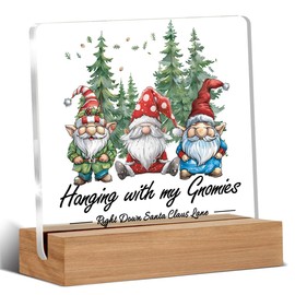 Funny Christmas Gifts, Christmas Gifts for Coworkers, Friends, Christmas Tree Gnome Acrylic Sign, Christmas Gift Ideas, Christmas Desk Decor 4 x 4 Inches