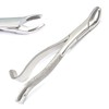 DDP 1PC Dental Instrument 18L EXTRACTING Forceps Stainless Steel