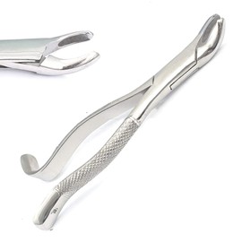 DDP 1PC Dental Instrument 18L EXTRACTING Forceps Stainless Steel
