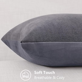 Pallene Decorative Chenille Throw Pillow Covers 18x18 Set of 2, Luxury Soft Velvet Pillow Covers for Sofa, Couch, Living Room - Grey