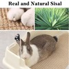 Jevnd 2PCS Large Rabbit Scratching Pad Indoor Edible for Claws