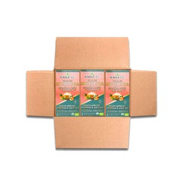 Miracle Tree's Moringa Energy Tea - Peach Mint Apricot | Super Caffeinated Blend | Healthy Coffee Alternative, Perfect for Focus | Organic Certified & Non-GMO | 3 X 16 Pyramid Sachets