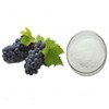 콩코드포도농축분말 100g 샘플 Concord Grape Concentrate Powder 100g Sample