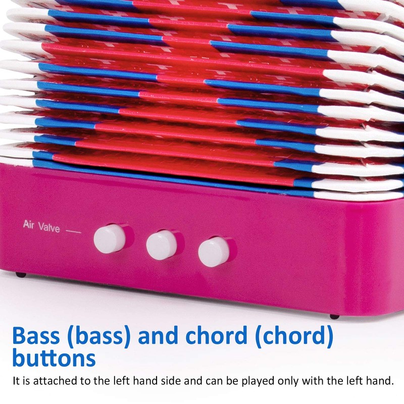 Button Accordion,Horse 10 Keys Control Accordion Musical Instruments for Beginners