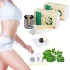 60 Stück Mugwort Navel Sticker,Natural Herbal Belly Sticker,Detox Pflaster,Beifuß Nabel
