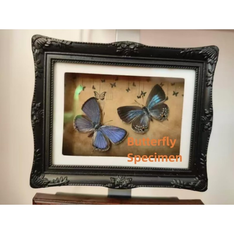 Fridge Refrigerator Magnets Picture Frames, Vintage Style Open the Back