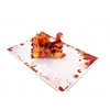 Thanksgiving Turkey Pop Up Greeting Card for Parents, Friends, Families