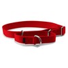 PetSafe Martingale Collar 1 Large, Red