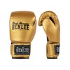 Benlee Rocky Marciano PU Training Glove Rodney - Gold/Black, 10oz