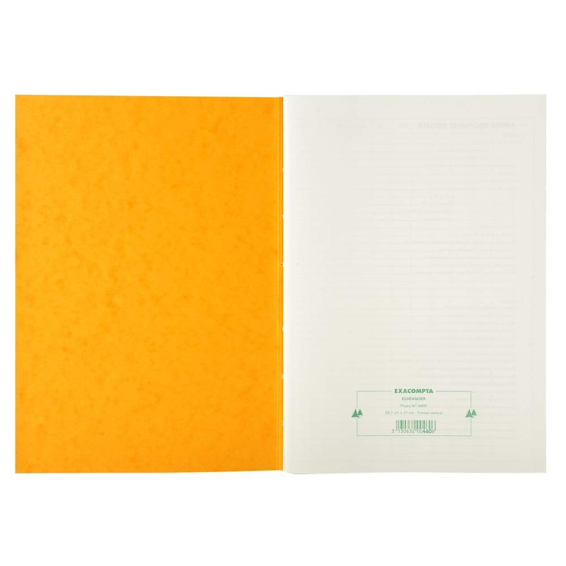 'Exacompta (‰ Ftsbuch "Echèancier 297 x 210 mm Pack of