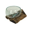 Wide Mouth Molten Glass on Teak Driftwood Decorative Sculptural Bowl,