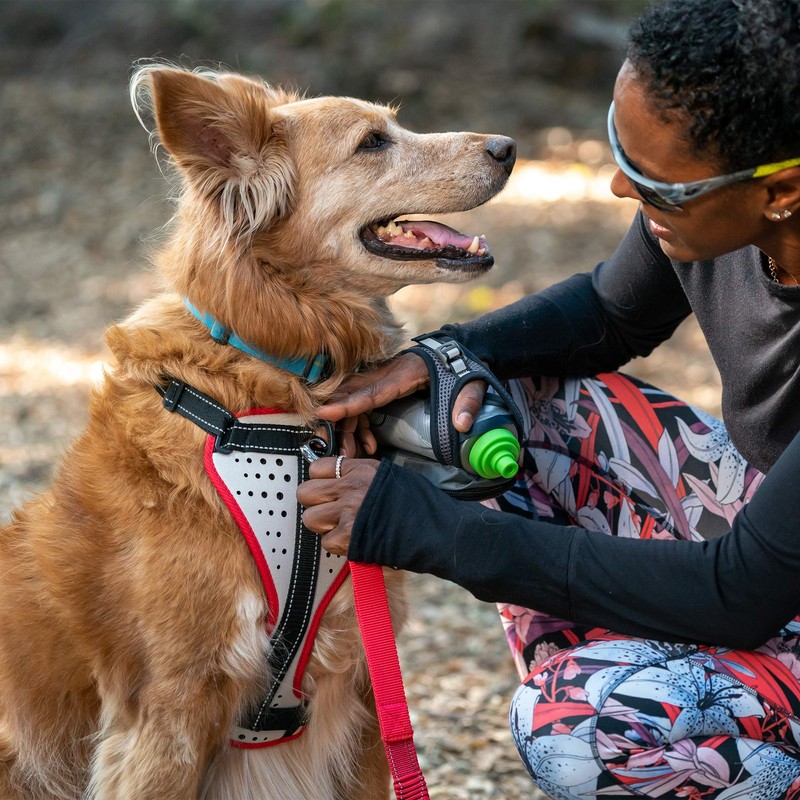 Nathan Dog Harness. Teaching Attachment/No Pull/Reflective/Lift Handle. for Running or