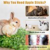EeYahYong Organic Apple Sticks Small Animals Molar Wood Treats Toys