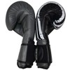 Ring to Cage Gym Training Stand-Up Boxing Gloves - USA.