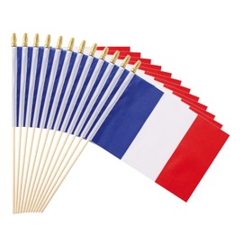 Ckexin 25Pack Small France Flag Handheld Mini French Flag on Stick 5x8 Inch