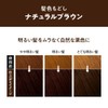 リーゼ 泡カラー 髪色もどしナチュラルブラウン 108ml 【医薬部外品】