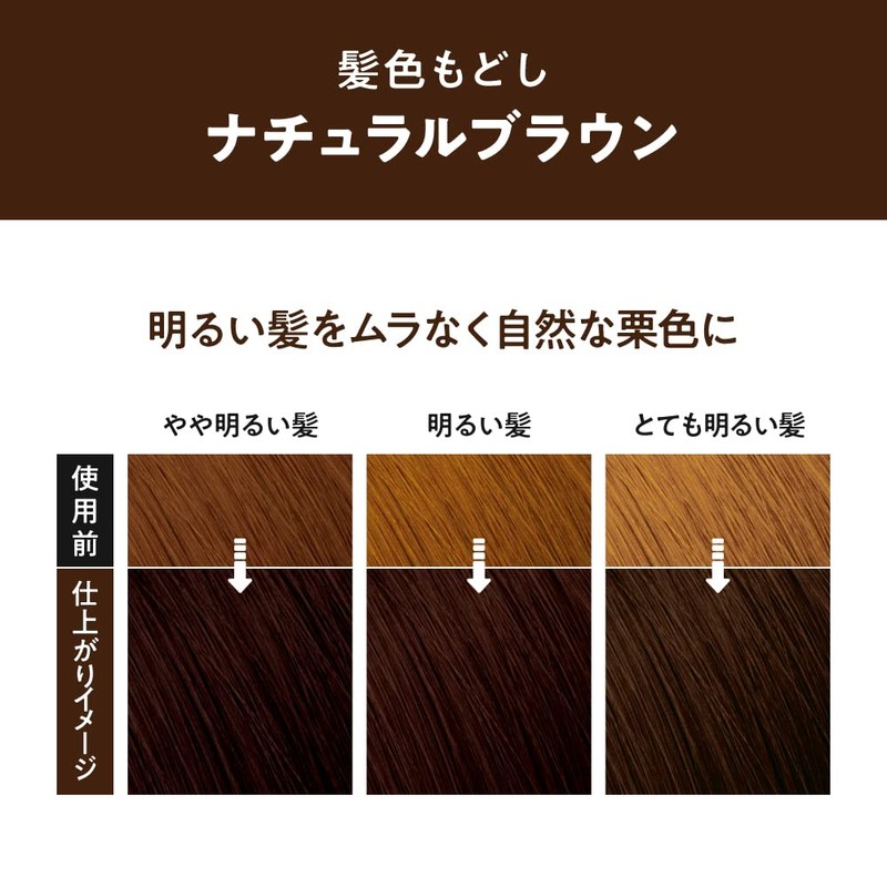 リーゼ 泡カラー 髪色もどしナチュラルブラウン 108ml 【医薬部外品】