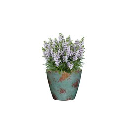 Classic Home and Garden 807-378R Vogue Planter, 8", Patina Copper