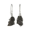 Starborn Rohstein Elite Shungite Earrings in 925 Sterling Silver, Gemstone