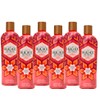 Shampoo Huichol De Chile, Romero Y Espinosilla 400 Ml (Pack