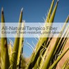 bürstenhaus Redecker - Scrub Brush, Tampico Fiber with Untreated Beechwood