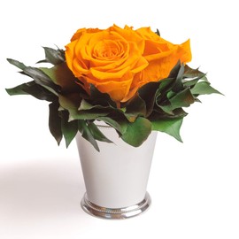 ROSEMARIE SCHULZ Heidelberg Infinity Flower in Silver Cup 3 Preserved Roses Flower Arrangement Long Lasting (Yellow, 3 Roses)