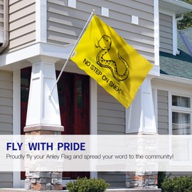 Anley Fly Breeze 3x5 Foot No Step On Snek Flag - Vivid Color and Fade Proof - Canvas Header and Double Stitched - Tea Party Flags Polyester with Brass Grommets 3 X 5 Ft