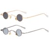 Dollger Polarized Round Sunglasses Men Women Mini 70s Hippie Circle