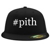 #Pith - Embroidered Adjustable Fit Structured Flat Bill Fitted Hat