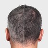 Verseo Grayban Hairspray Color Restorer for Gray Hair, Non-Dye Color