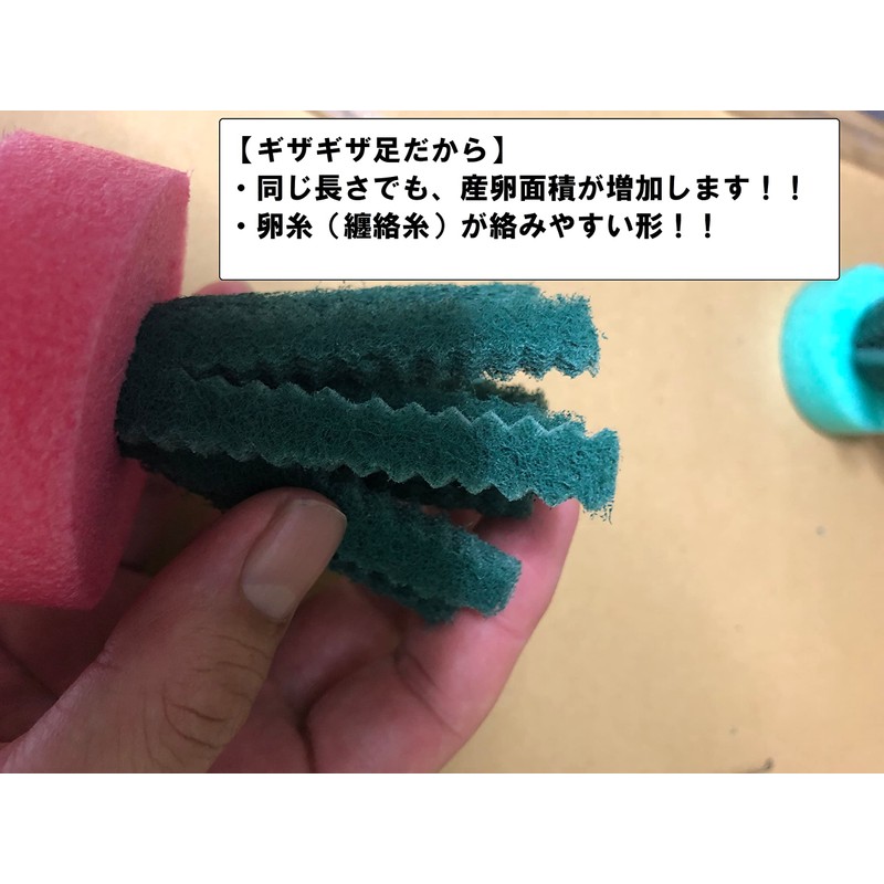 [Japanese Brand] HIMARISUN Eggs Can Be Removed, Jagged Legs Spawning