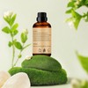 Wuvezrub Peppermint Essential Oil 30ML - 100% Pure and Natural