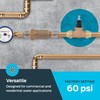 Cash Acme EB45 Pressure Regulating Valve, Double Union, 3/4 Inch