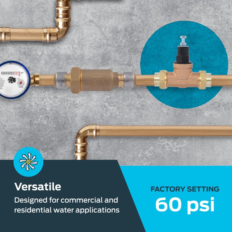 Cash Acme EB45 Pressure Regulating Valve, Double Union, 3/4 Inch