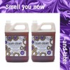 Indigo Wild Zum Clean Laundry Soap - Plant-Based Liquid Laundry