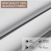 BERISSA Cordless Blackout Roller Shades for Indoor Windows with Light