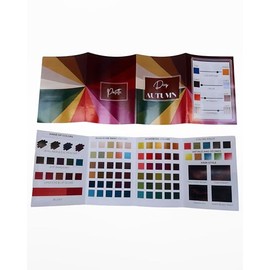 Professional Palette Armocromia 12+4 - Complete Subgroups / Single Palette - Set of 3 - 16 Pieces / Maison Image Academy (Deep Autumn - 1 Pad)