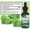 Natural's Answer GotuKola Extract, Gluten-Free, Alcoohol-Free, 30 ml