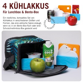 Monkey Business Back To Cool Ice Pack Set, 4 Reusable Ice Packs for Lunch Boxes and Cool Bags, Colourful Refill Ice Packs (Polar Bear Set)