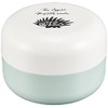 Takenaka Bento Box, Mamma, Rice Ball Case, Mint, 9.2 fl