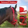 Kabahorze Adjustable Horse Halter with Polar Fleece Lined, Rope Halters,