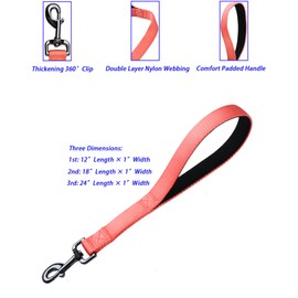 Cyclpet Advanced 12 Inches Nylon Short Dog Leash with Soft Comfortable Padded Handle for Large Medium Breed Dogs Daily Use Jogging,Walking,Training etc. (12 Inches, Living Coral)