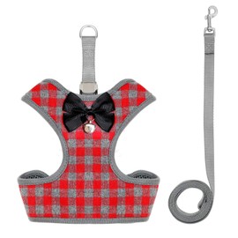 Rypet Small Dog Harness and Leash Set - No Pull Pet Harness with Soft Mesh Nylon Vest for Small Dogs and Cats Red L