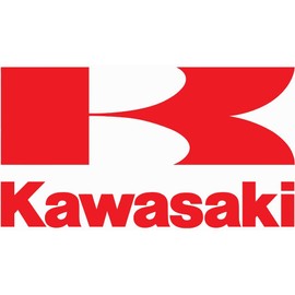 Kawasaki OEM Filtro de aceite 16097 – 0010