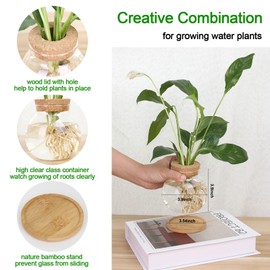 CHPINDAM Plant Propagation Station,Hydroponic Glass Container Vase Jars, with Wooden Saucer for Desks, Houses, Garden Decorations, Home Kitchen Decorations and Gifts for Plant Lovers (4)